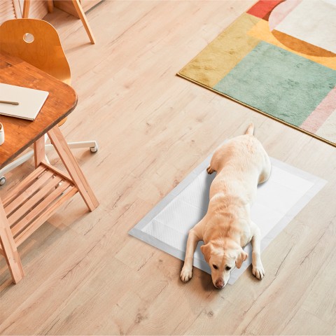 Tappetini igienici per cani RMove - 60x90cm - 100 pz - Con adesivi